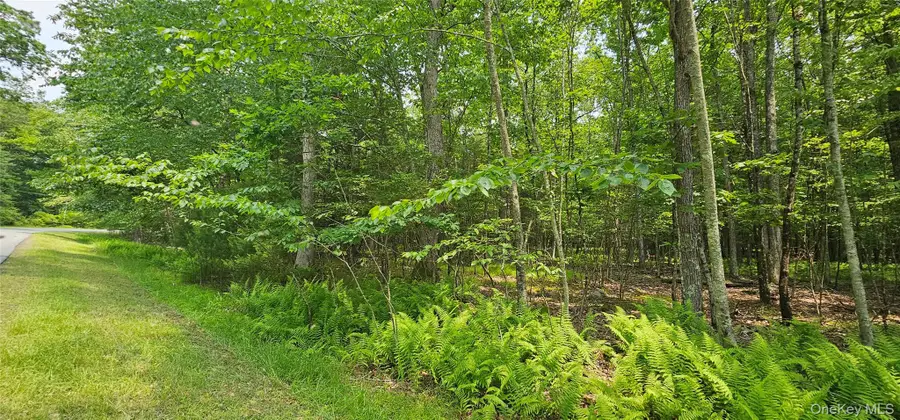 Lot 3 Woods Road, Barryville, NY 12719 - Image #2