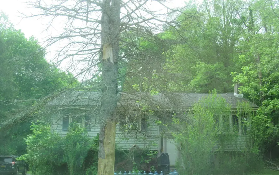 246 Skyline Drive, Highland Mills, NY 10930 - Image #2