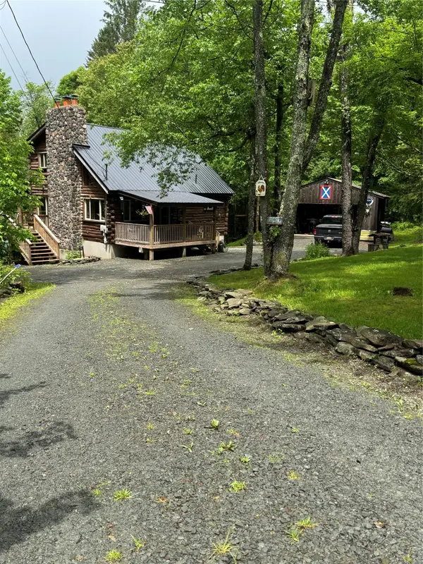 185 Wedemeyer Road, Downsville, NY 13755