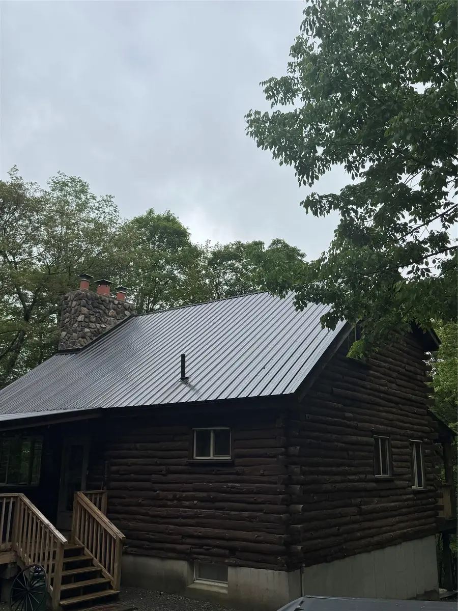 185 Wedemeyer Road, Downsville, NY 13755 - Image #2