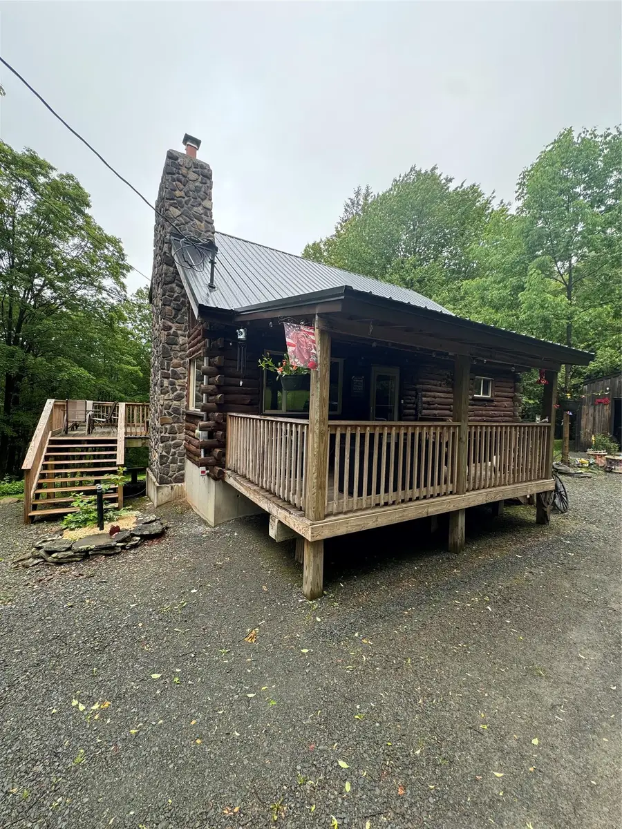 185 Wedemeyer Road, Downsville, NY 13755 - Image #3