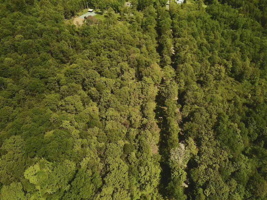 00 Benton Hollow, Liberty, NY 12754 - #3