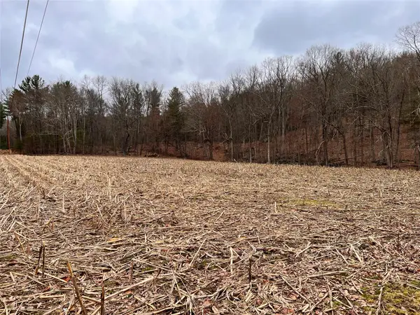 00 State Route 97 Route, Cochecton, NY 12726