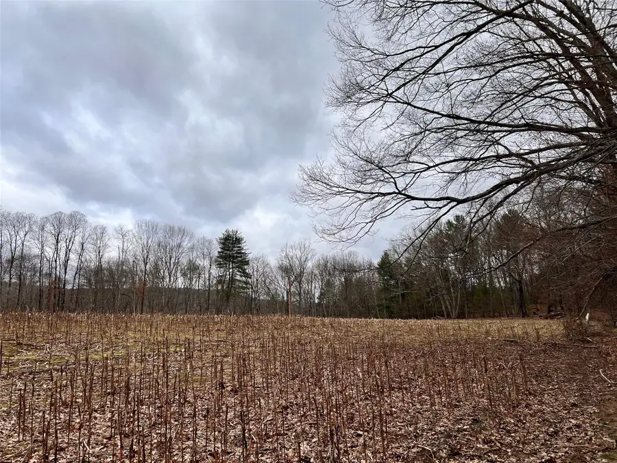 00 State Route 97 Route, Cochecton, NY 12726 - Image #2