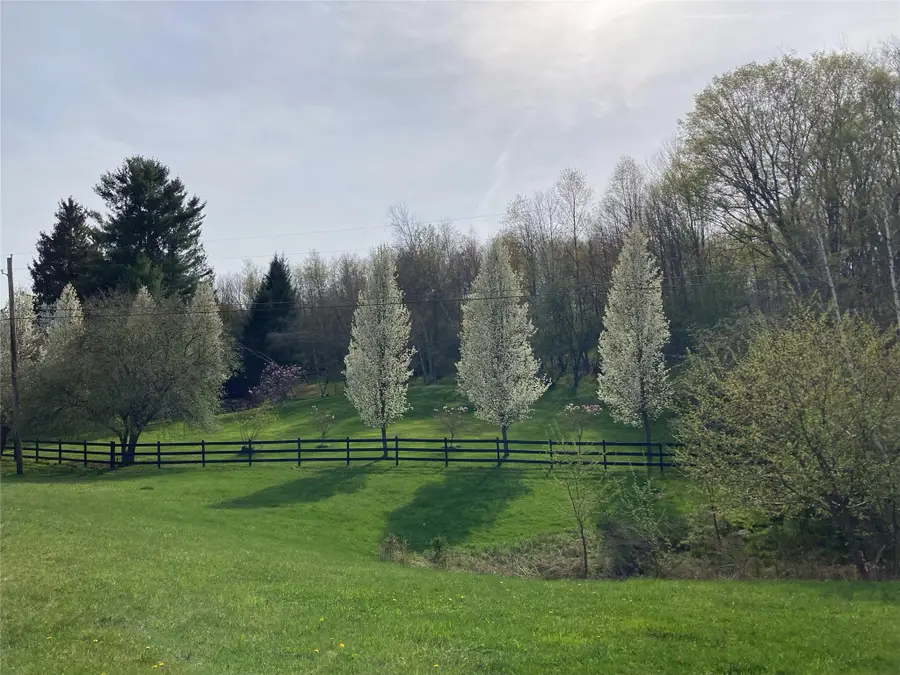 California Avenue, Liberty, NY 12754 - Image #3