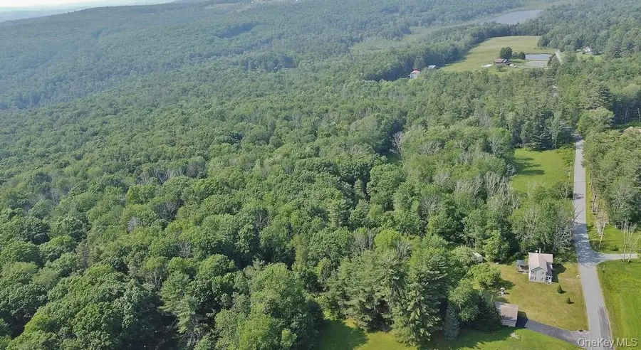 169 Mitchell Pond Road E, Cochecton, NY 12726 - Image #3