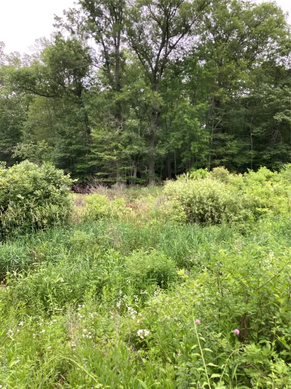 Baxtertown Road, Fishkill, NY 12524