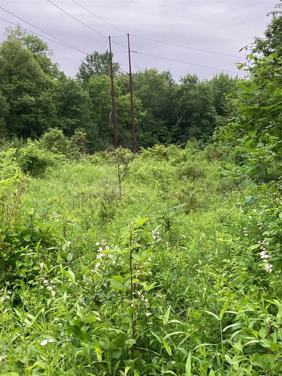 Baxtertown Road, Fishkill, NY 12524 - Image #3