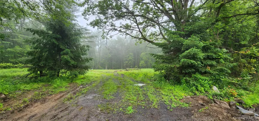 127 Benneywater Road, Port Jervis, NY 12771 - Image #2