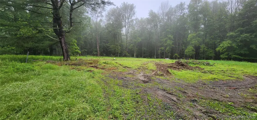 127 Benneywater Road, Port Jervis, NY 12771 - Image #3