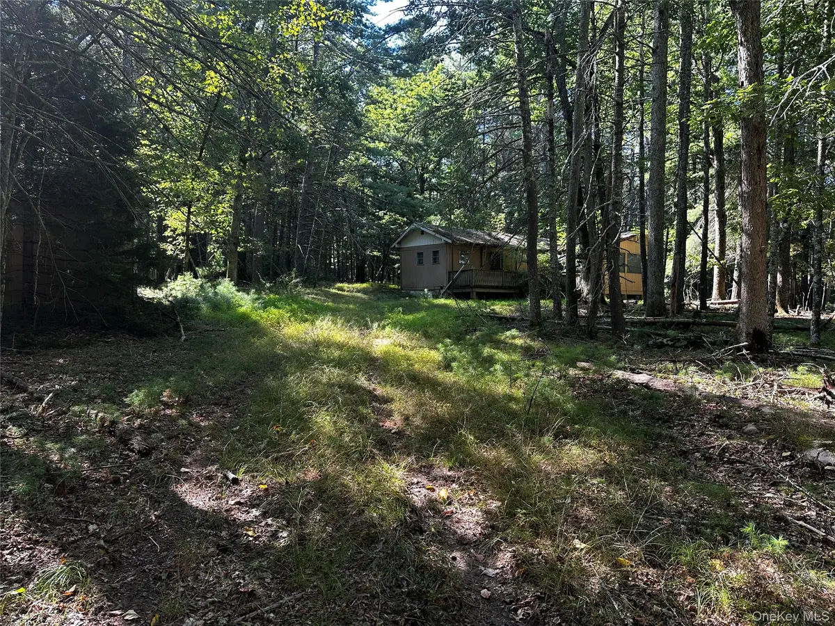 8 Kern Road, Barryville, NY 12719 - Image #1