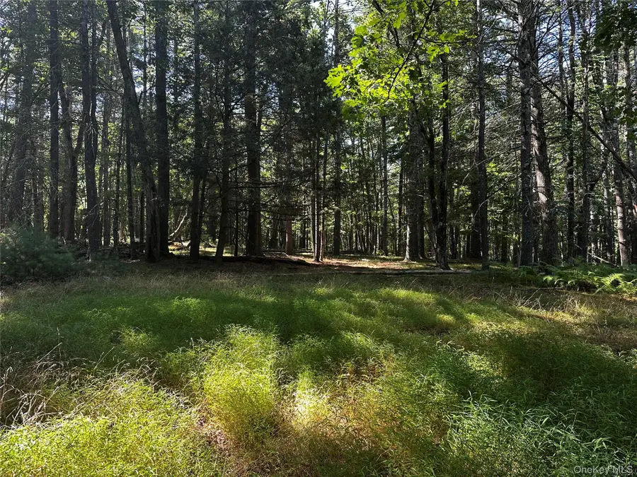 8 Kern Road, Barryville, NY 12719 - Image #2