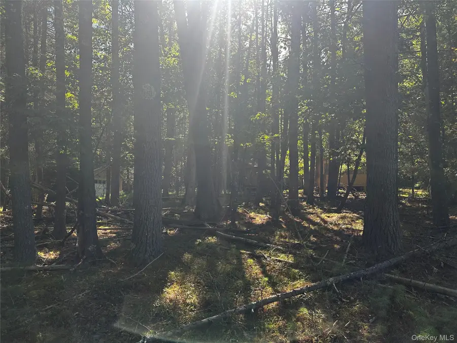 8 Kern Road, Barryville, NY 12719 - Image #3