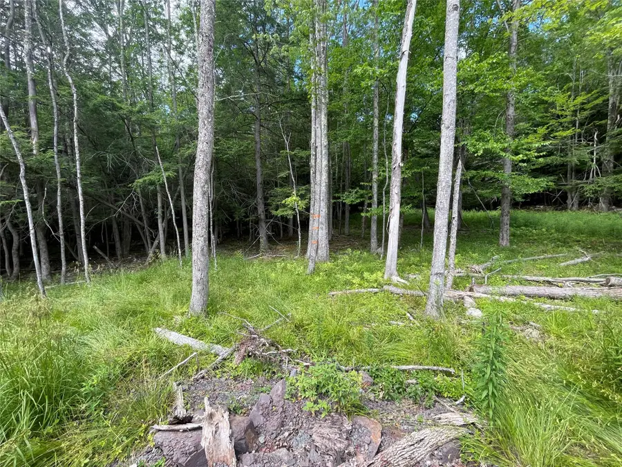 TBD Boulder Brook Lot B14 Road, Windham, NY 12496 - Image #3