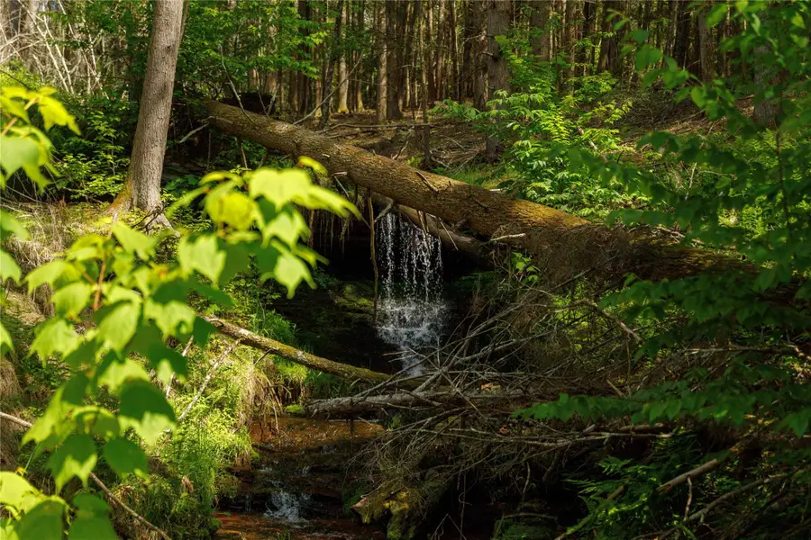 650 Thunder Hill Road, Neversink, NY 12788 - Image #2