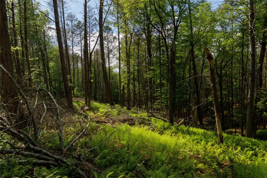 650 Thunder Hill Road, Neversink, NY 12788 - Image #3