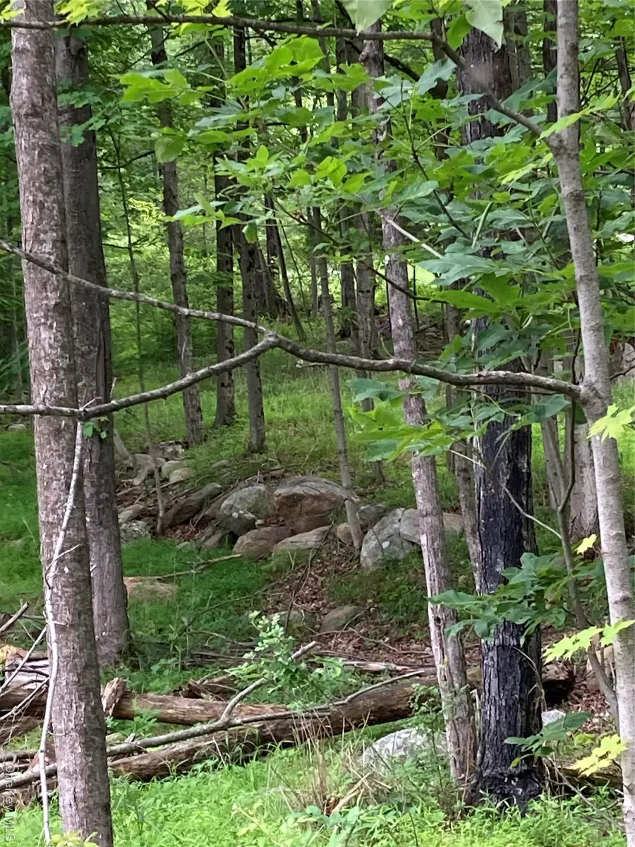 287 Church Road, Pine Bush, NY 12566 - Image #3