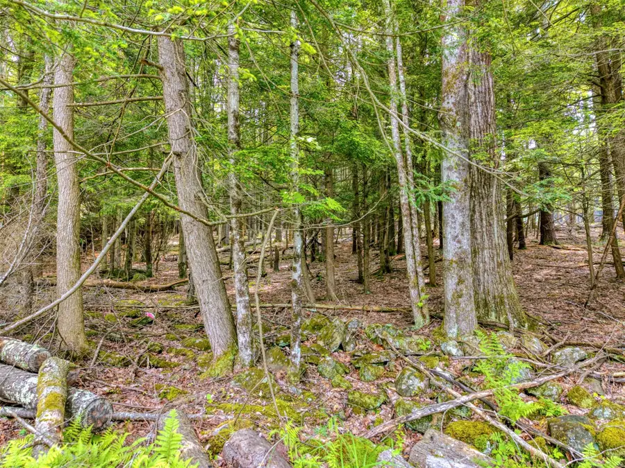TBD Boulder Brook Lot B10 Road, Windham, NY 12496 - Image #3