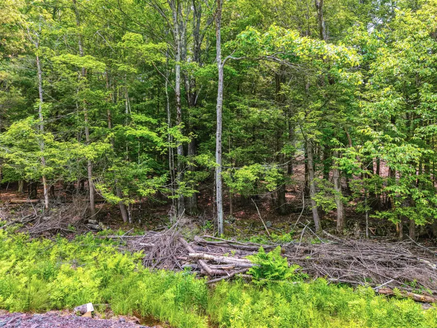 TBD Boulder Brook Lot 13b Road, Windham, NY 12496 - Image #3
