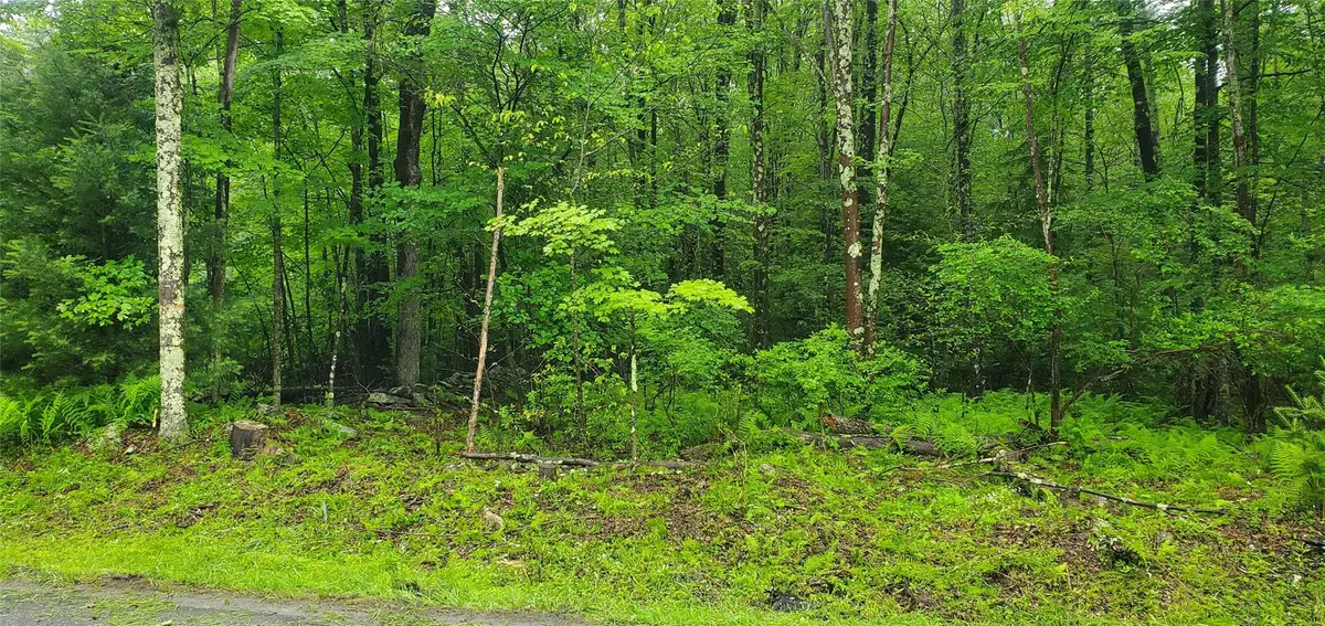 Tr 105 Cypert Road, Fallsburg, NY 12733 - Image #1
