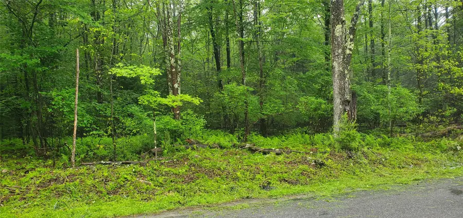Tr 105 Cypert Road, Fallsburg, NY 12733 - Image #2