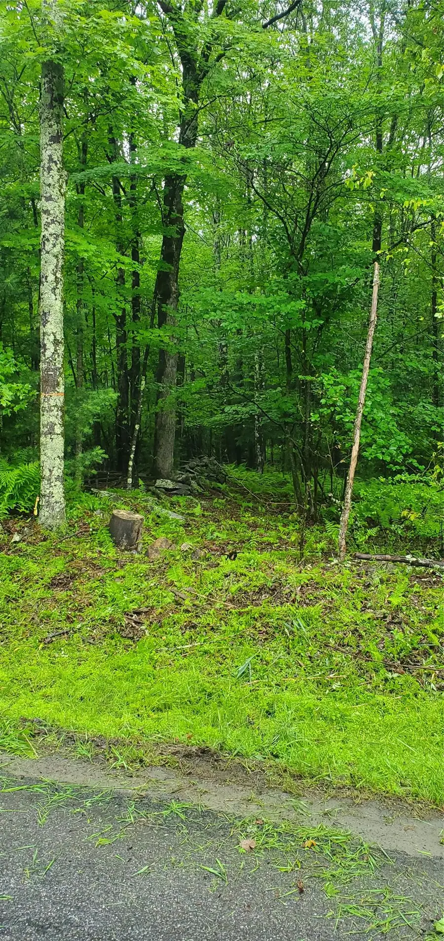 Tr 105 Cypert Road, Fallsburg, NY 12733 - Image #3