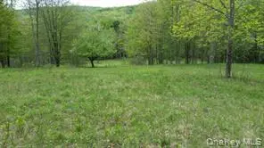 Hessinger Lare Road, Youngsville, NY 12791