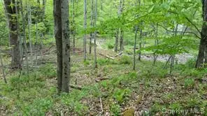 Hessinger Lare Road, Youngsville, NY 12791 - Image #2