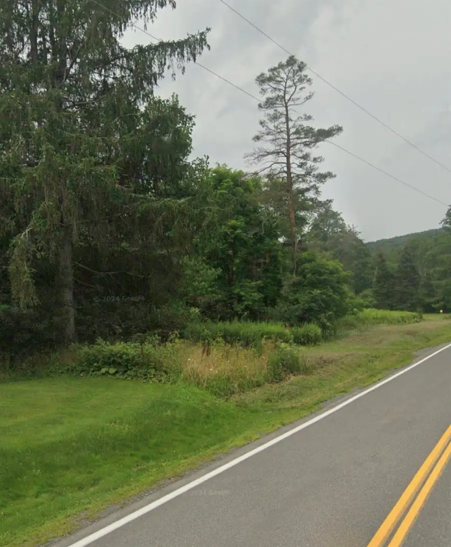 14951 State Route 23, Prattsville, NY 12468 - Image #3