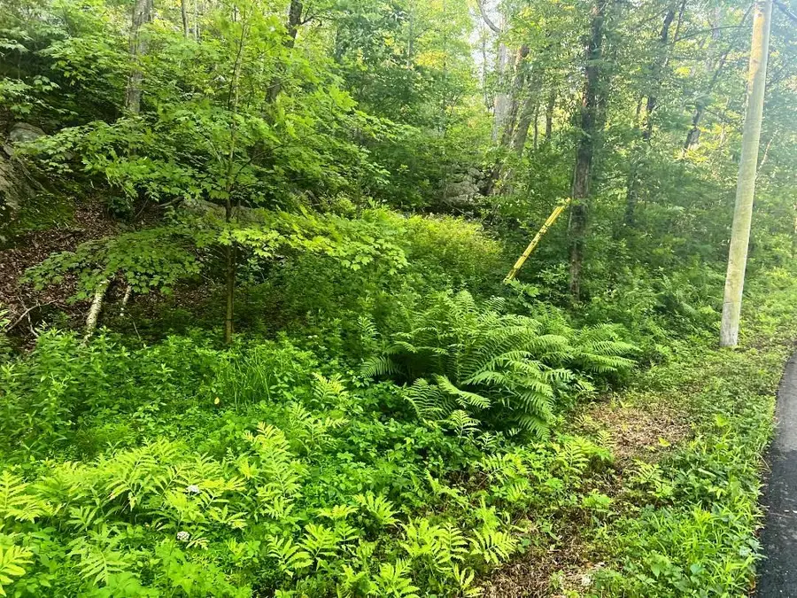 Lot 14.1 Wiccopee Road, Putnam Valley, NY 10579 - Image #3