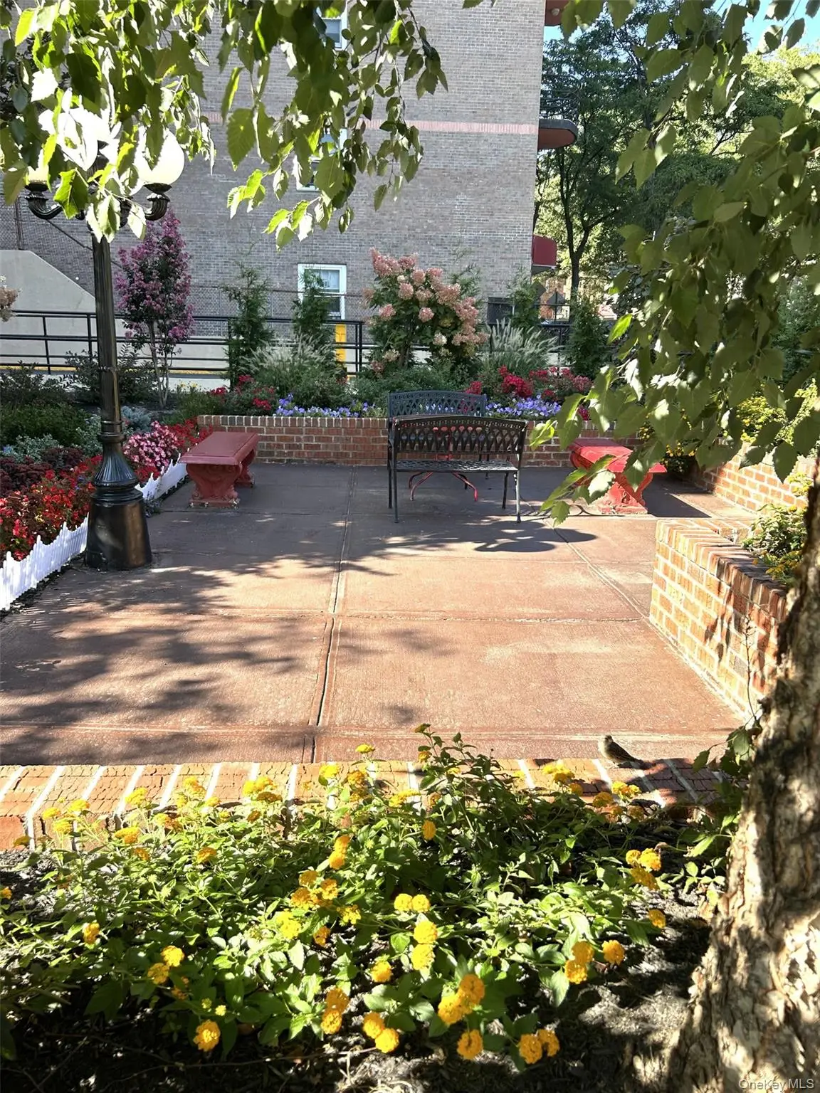 81-11 45 Avenue #3, Elmhurst, NY 11373 - Image #1