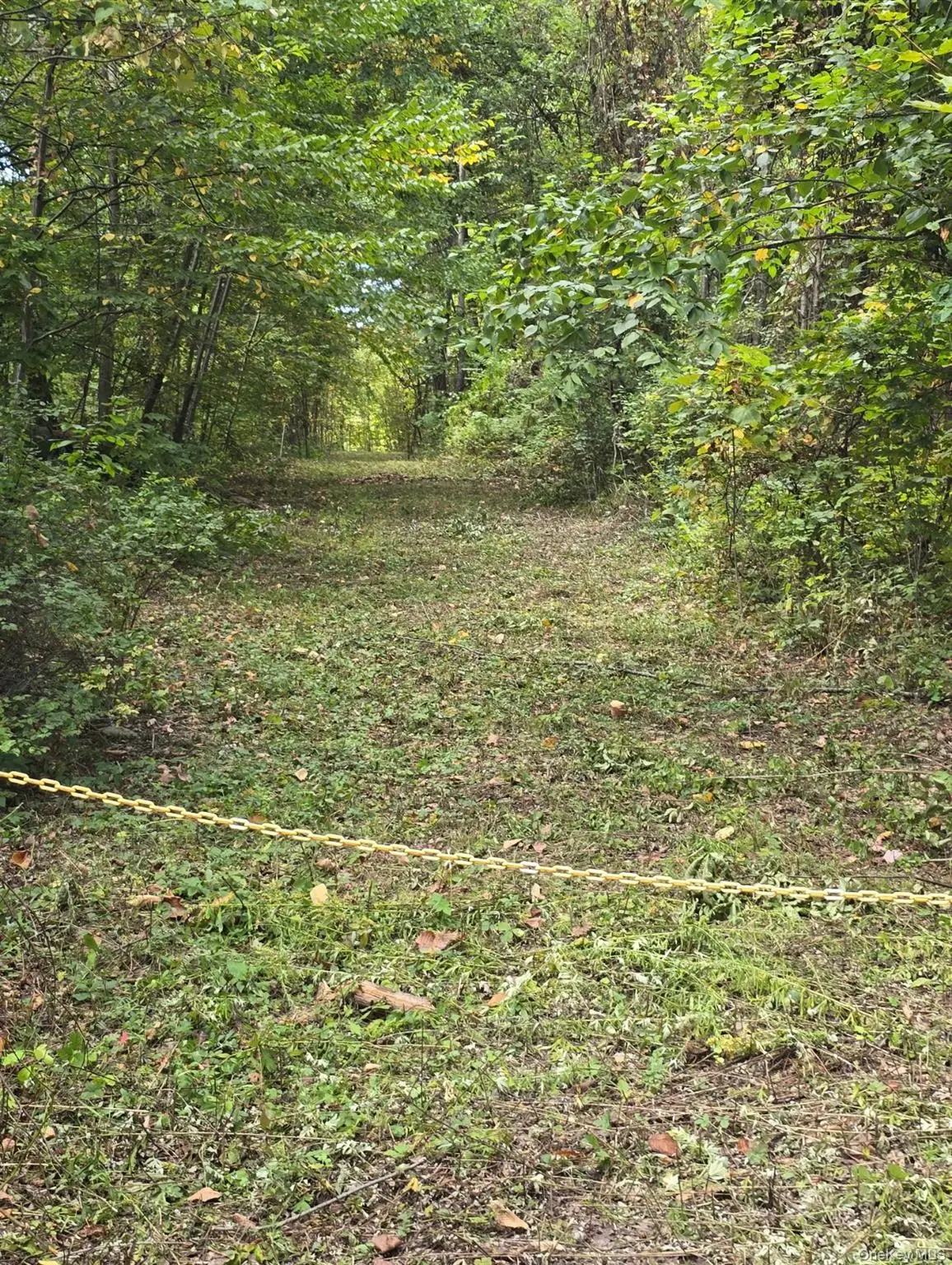 224 Hickory Hill Lane, Newburgh, NY 12550 - Image #1