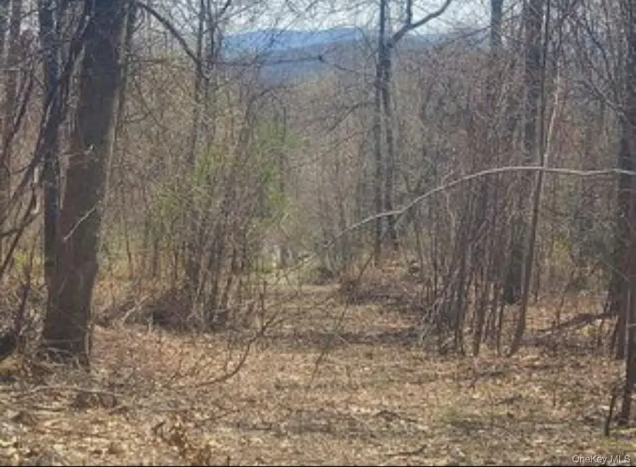 224 Hickory Hill Lane, Newburgh, NY 12550 - Image #2