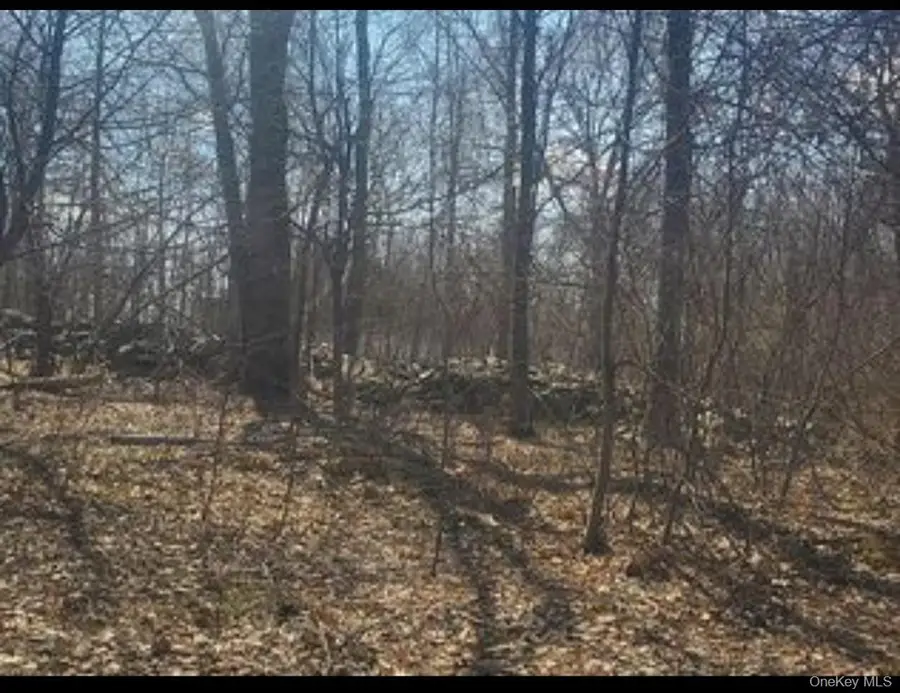 224 Hickory Hill Lane, Newburgh, NY 12550 - Image #3