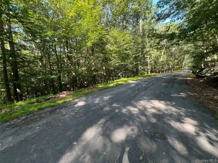 39 Hilltop Lane, Narrowsburg, NY 12764 - Image #3