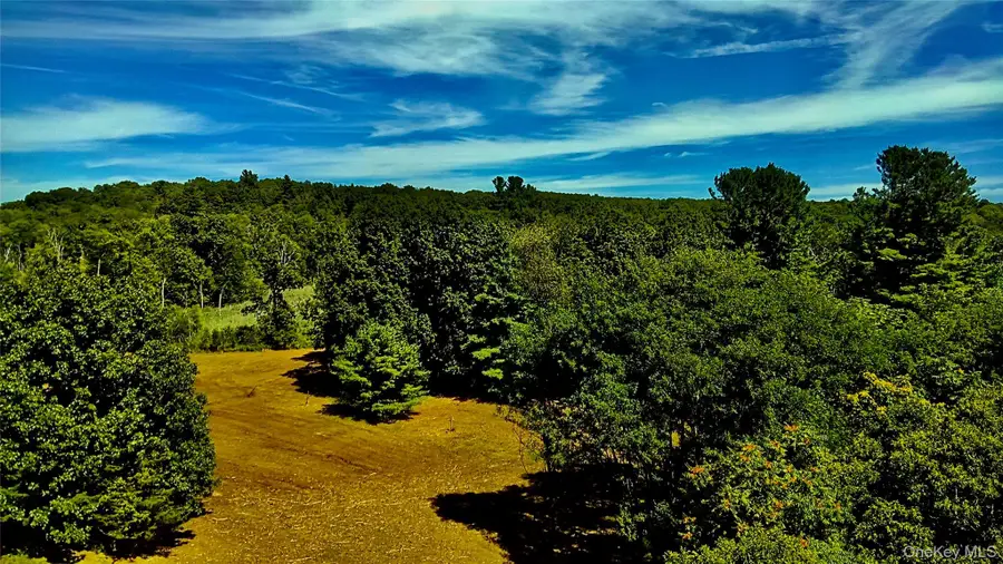 Mambert/water Street Road, Hudson, NY 12534 - Image #3