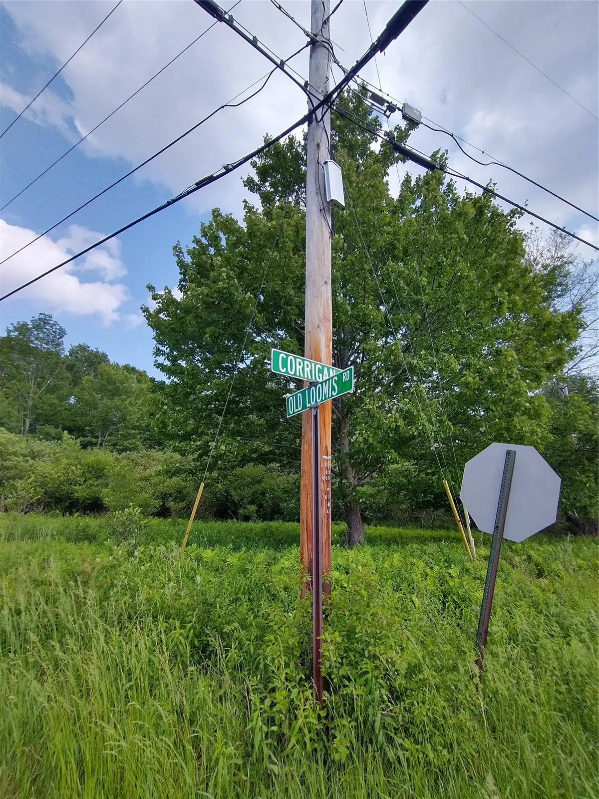 Old Loomis Road, Liberty, NY 12734 - Image #1