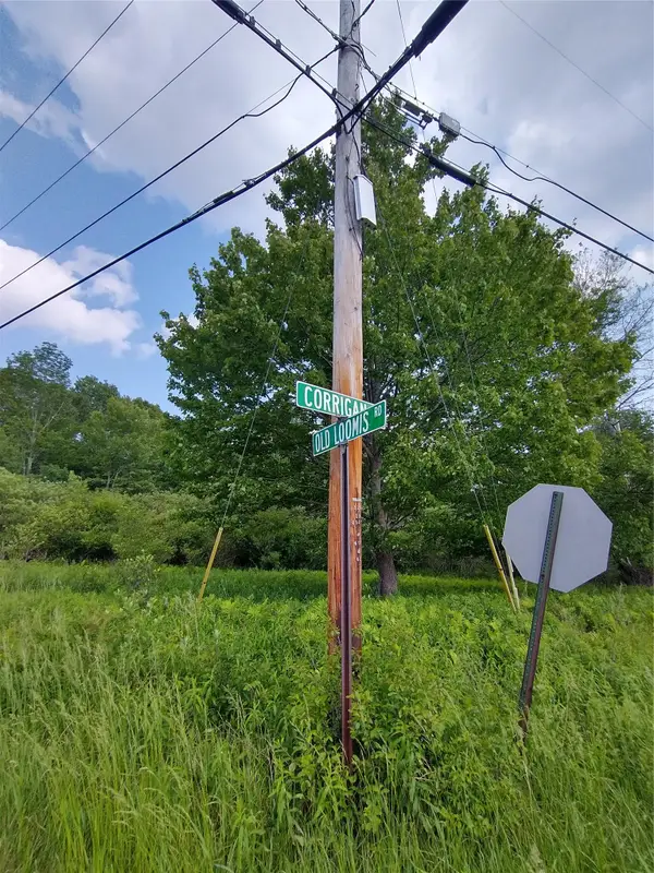 Old Loomis Road, Liberty, NY 12734