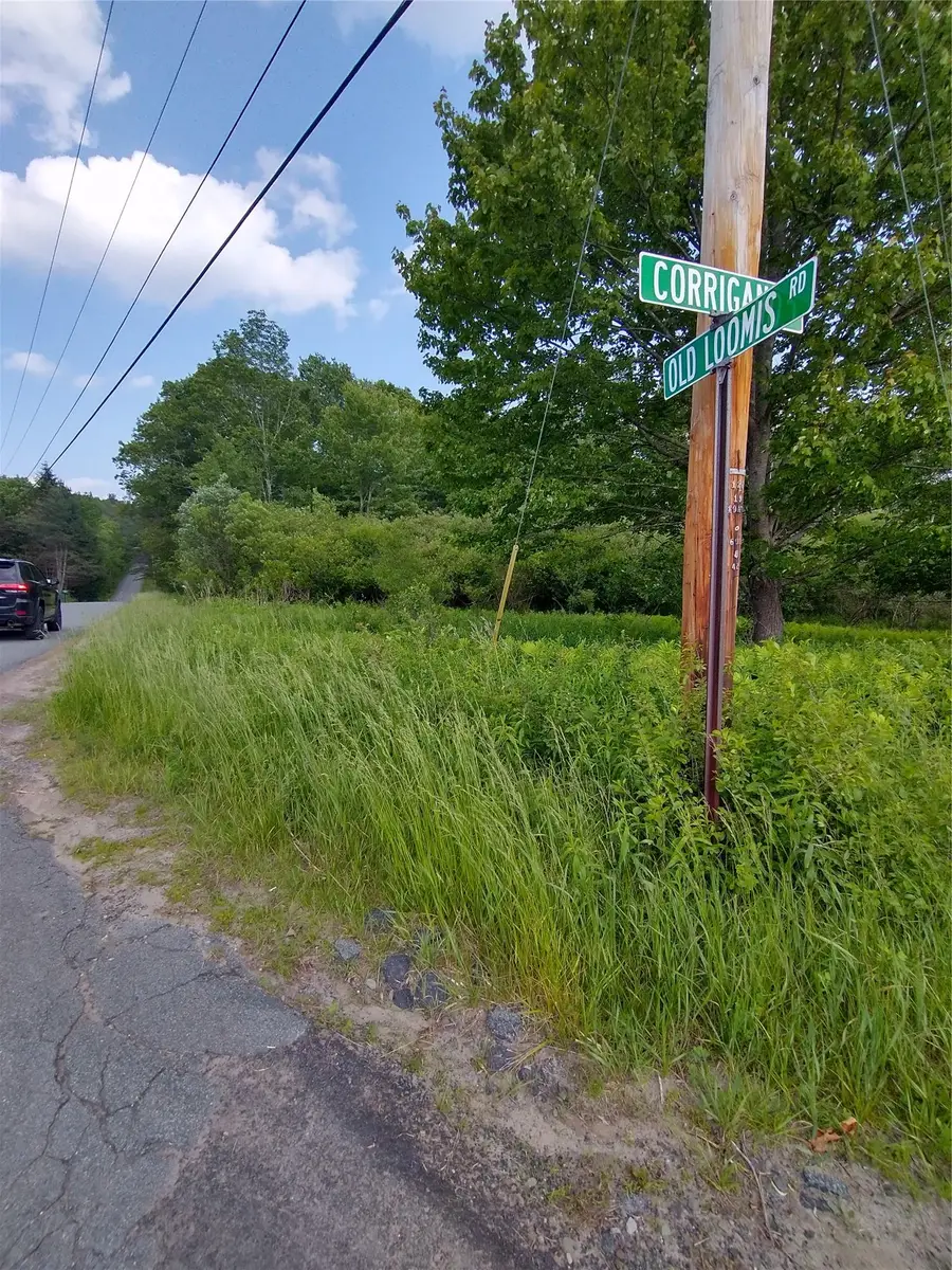 Old Loomis Road, Liberty, NY 12734 - Image #2