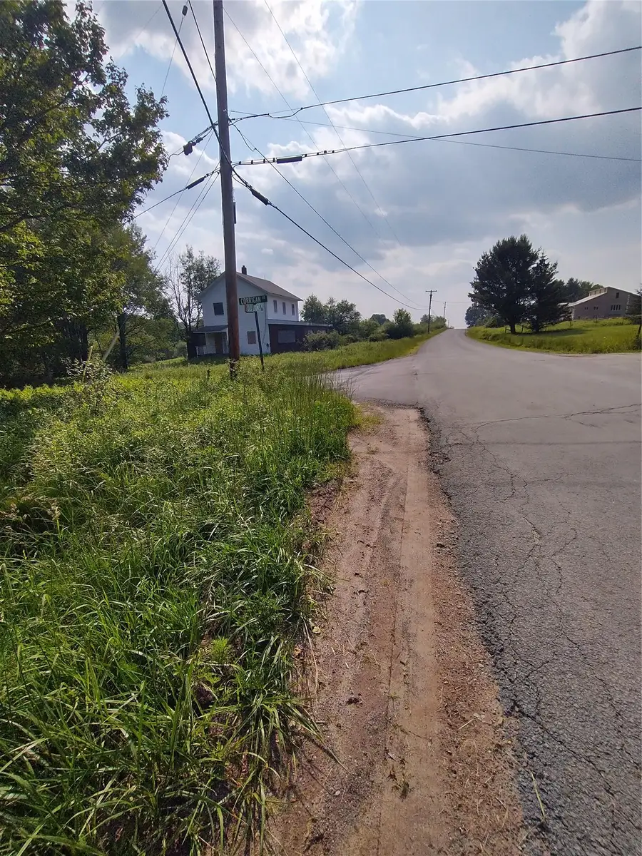 Old Loomis Road, Liberty, NY 12734 - Image #3