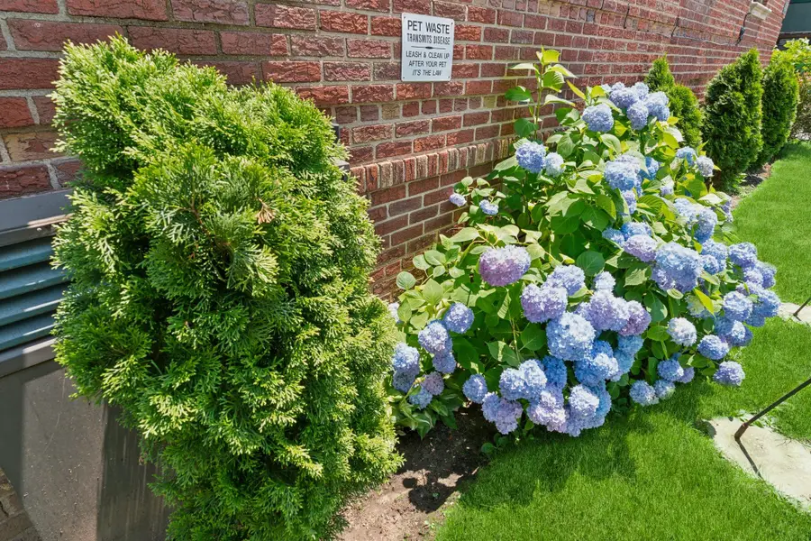 2835 Bedford Avenue #3E, Brooklyn, NY 11210 - Image #2