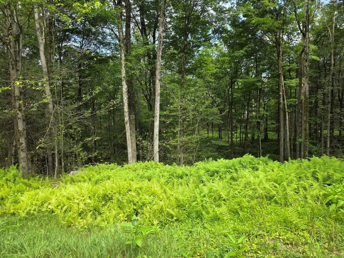 Gregory Road, Monticello, NY 12701 - Image #1