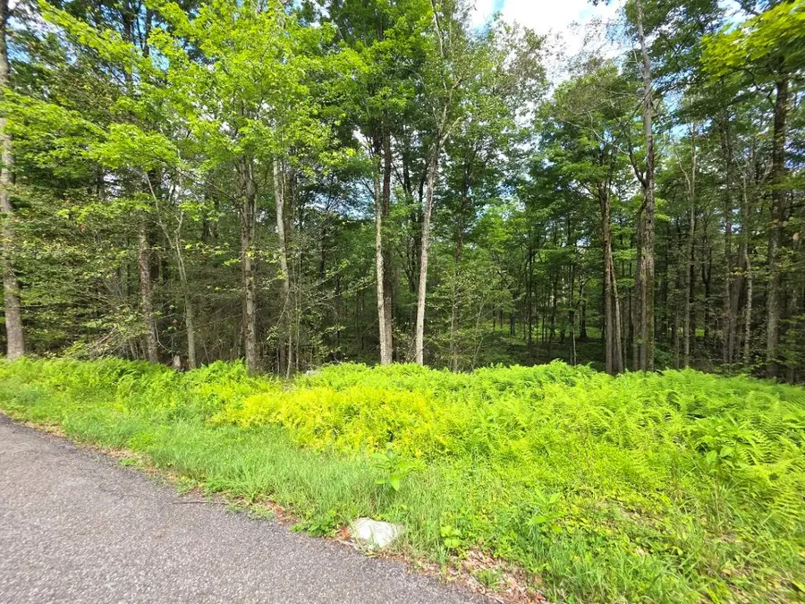 Gregory Road, Monticello, NY 12701 - Image #2