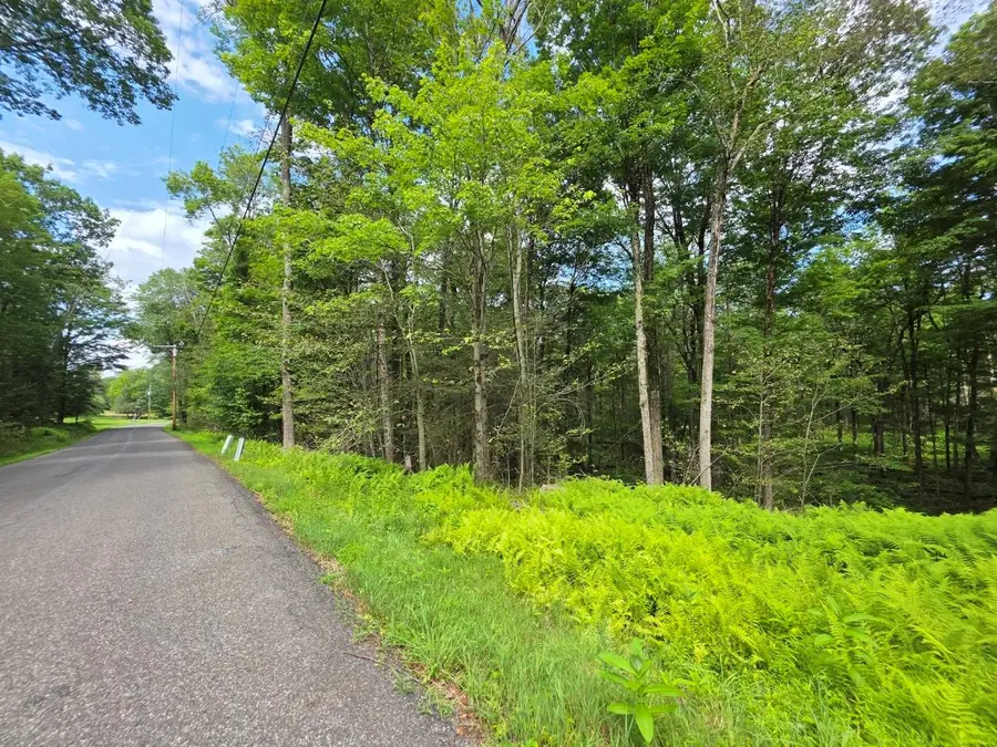 Gregory Road, Monticello, NY 12701 - Image #3