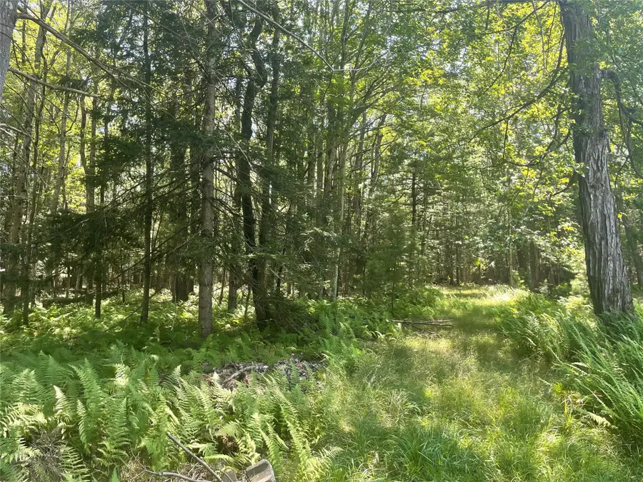 126 Beaver Lake Rd. Road, Rock Hill, NY 12775 - Image #3