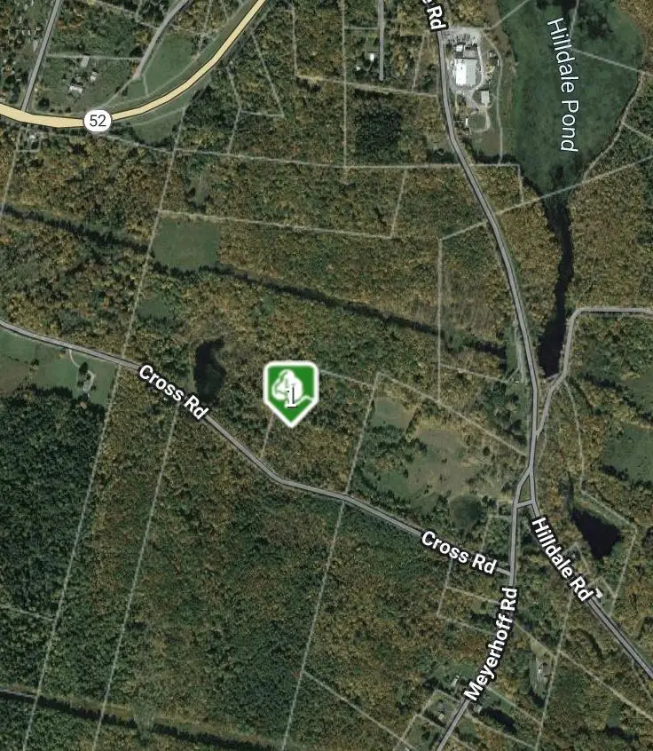 Cross Farm Road, Fallsburg, NY  - Image #1