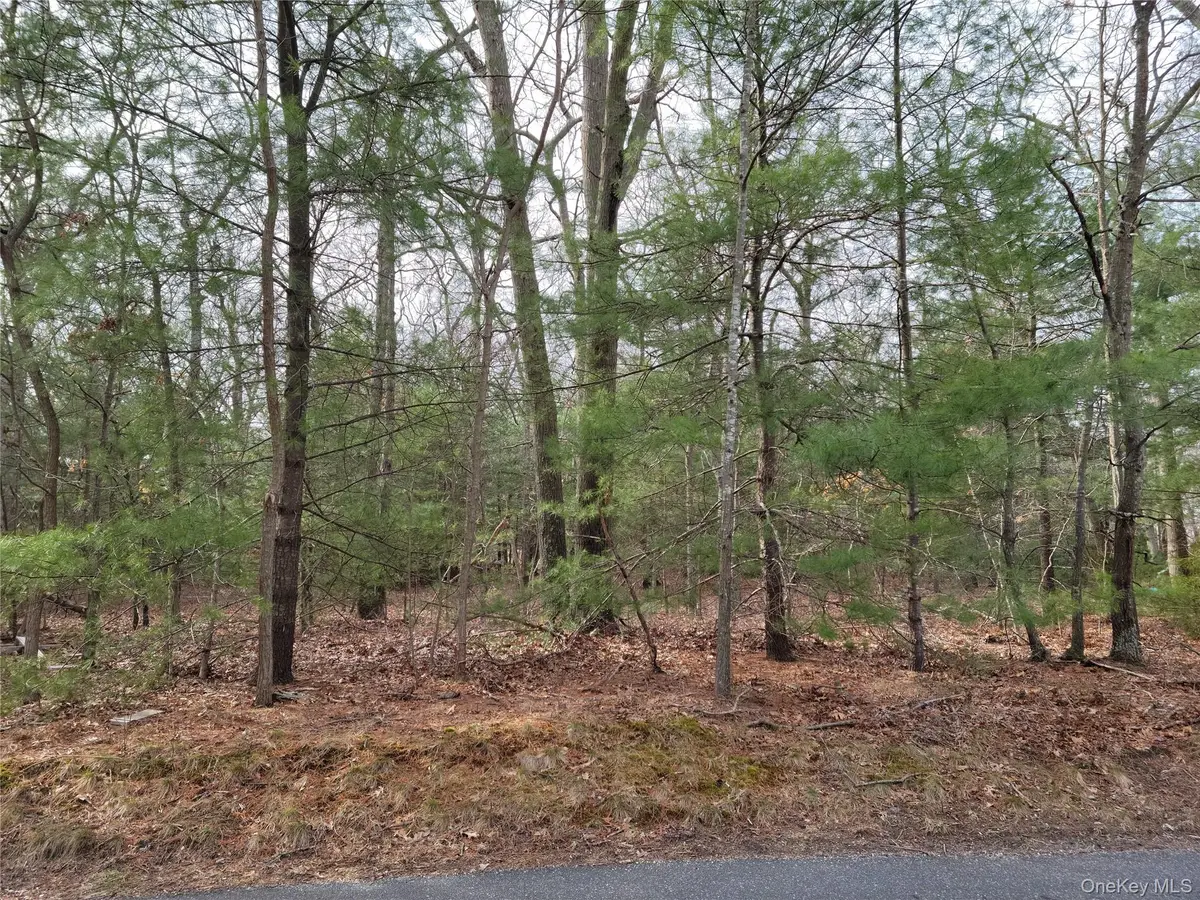 Lake Terrace, Middle Island, NY 11953 - Image #1