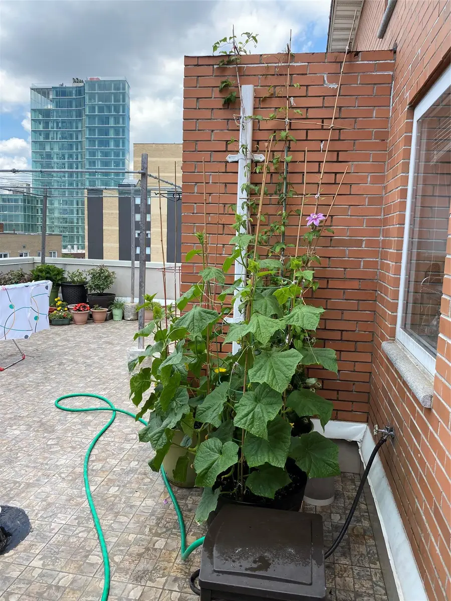 14075 Ash Avenue #7D, Flushing, NY 11355 - Image #2