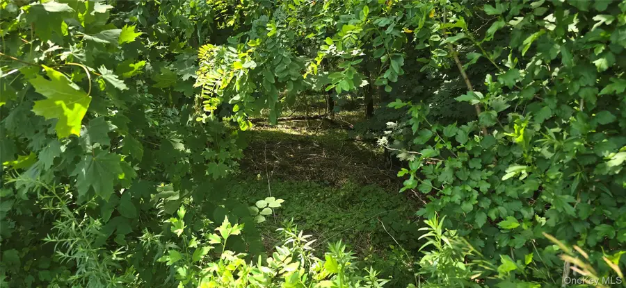 VL Yaphank-middle Island Road, Yaphank, NY 11980 - Image #3