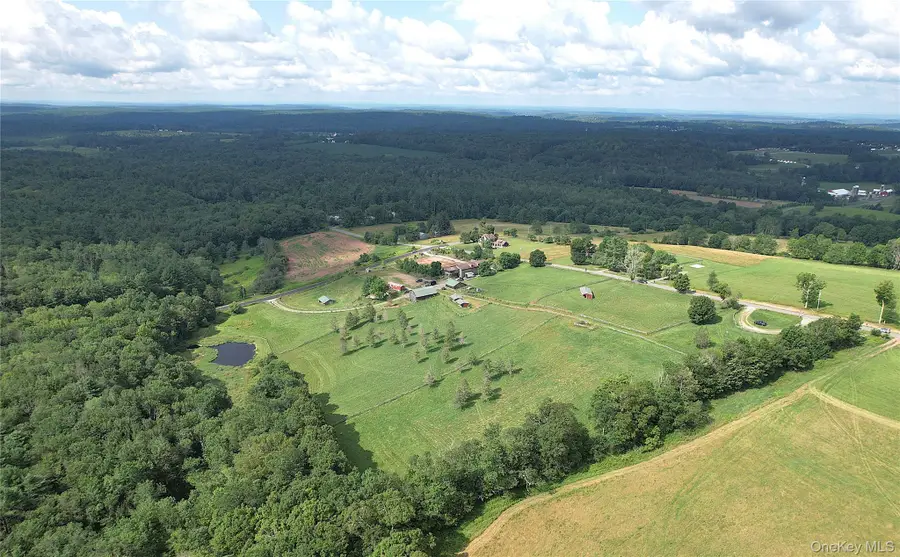 282 W Shore Road, Swan Lake, NY 12783 - Image #2